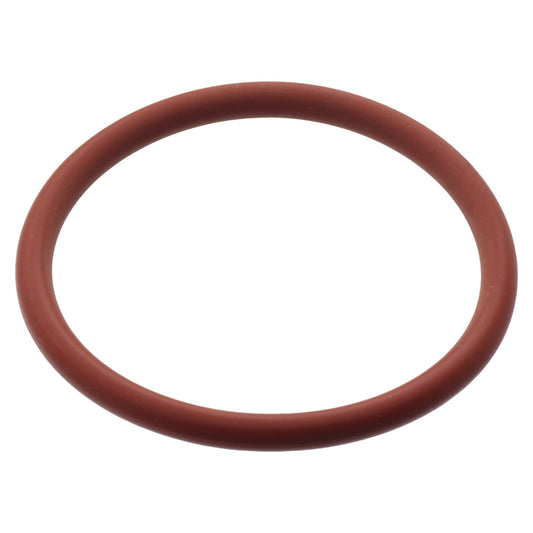 Reber guarnizione anello asse perno passapomodoro n.5 9004 9501 9601 9602 9603