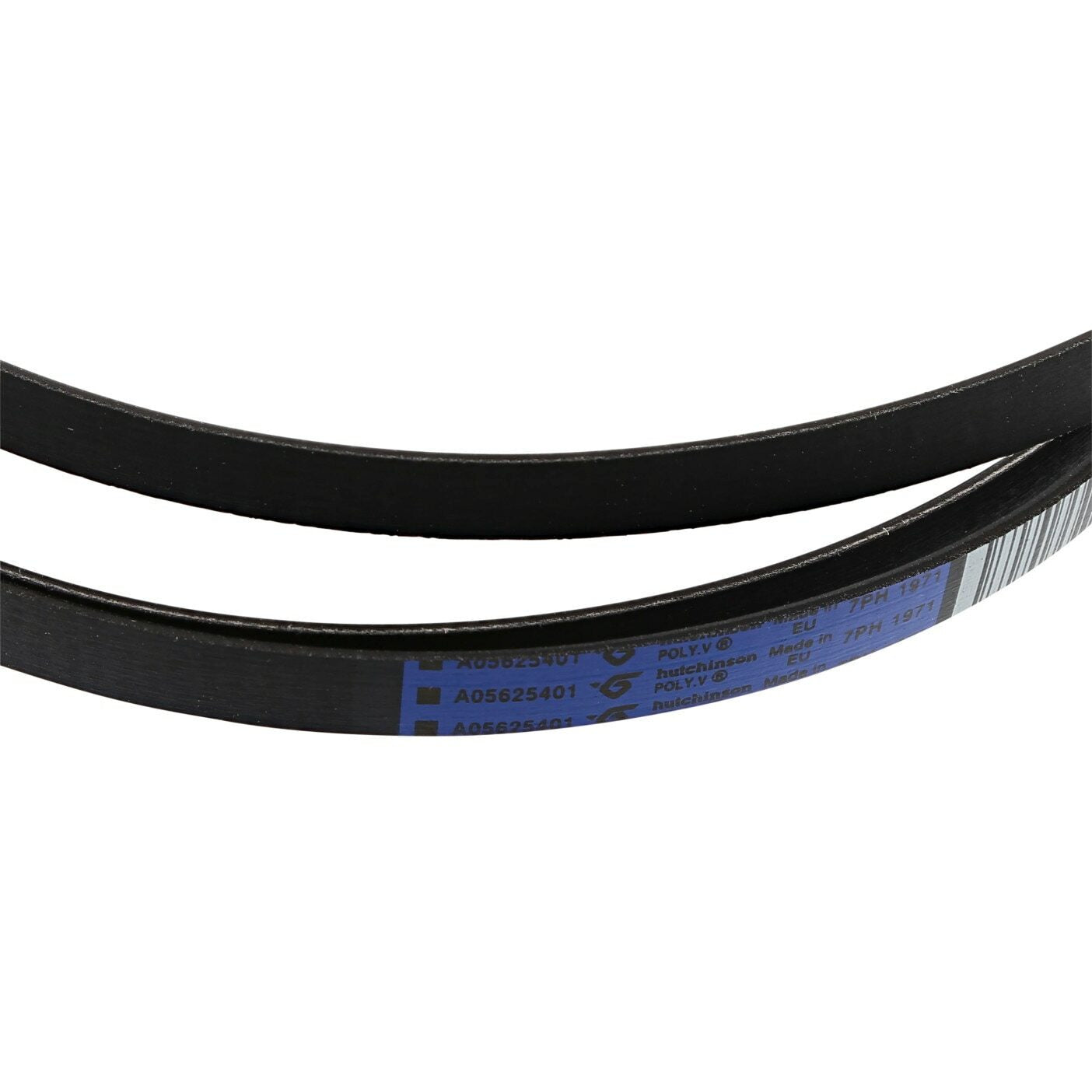 Electrolux AEG Rex cinghia A05625401 ORIGINALE asciugatrice T65 EDC EDH TWL RDH